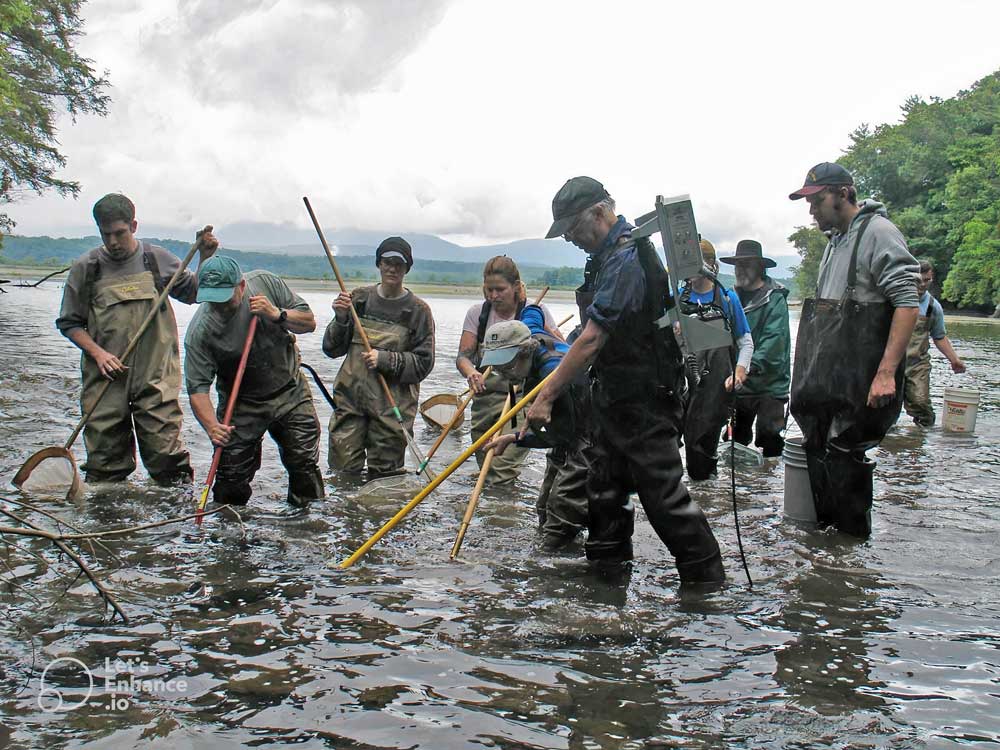scientists collecting fish via electrical shock