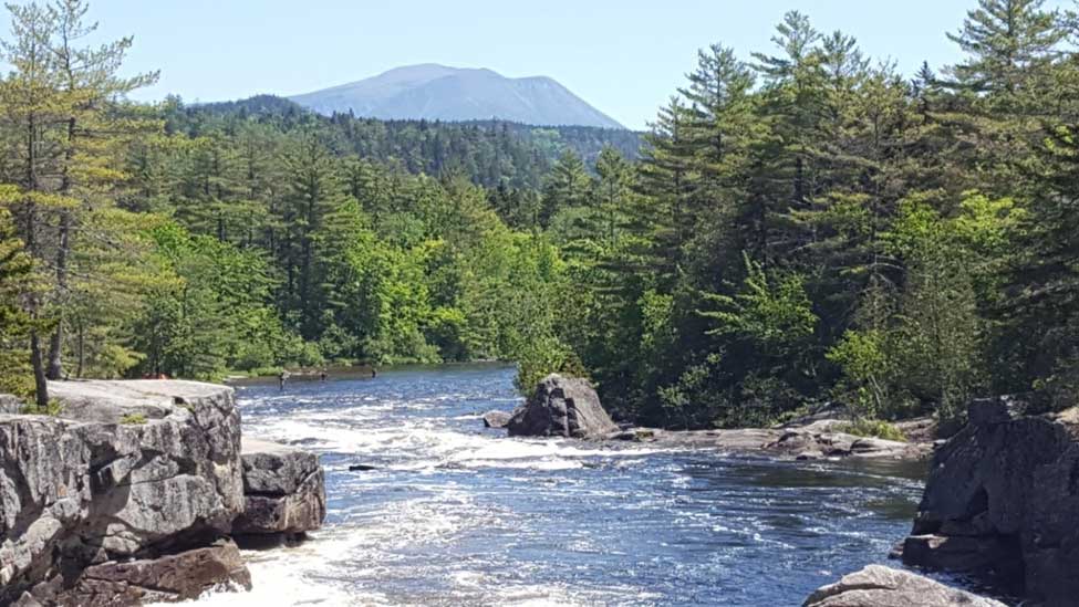 Featured image for “February 2018 – December 2024”